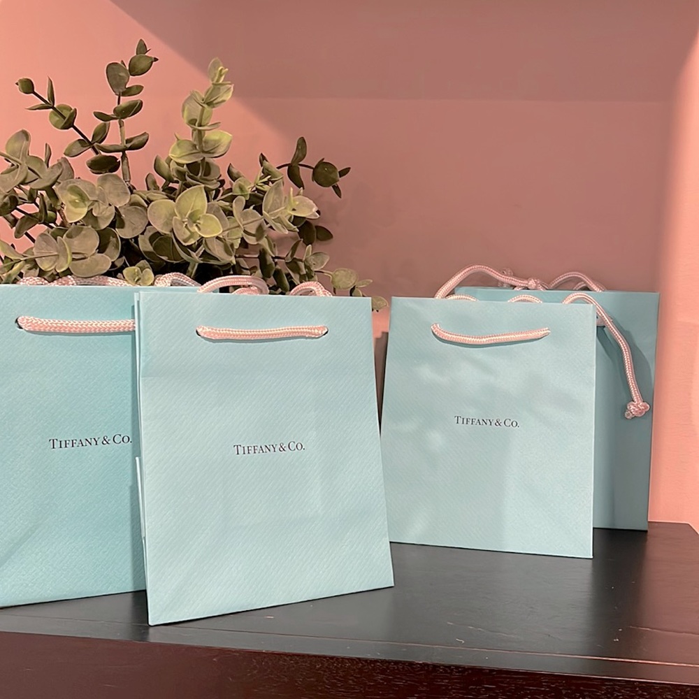Tiffany & Co bags - pristine condition